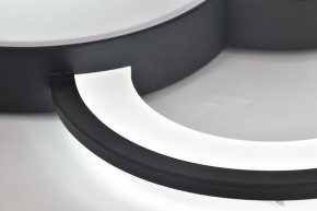 Потолочная люстра Rivoli Aliona Б0066452 в Карталах - kartaly.ok-mebel.com | фото 12