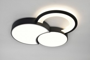 Потолочная люстра Rivoli Aliona Б0066452 в Карталах - kartaly.ok-mebel.com | фото 7