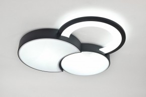 Потолочная люстра Rivoli Aliona Б0066452 в Карталах - kartaly.ok-mebel.com | фото 8