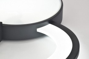 Потолочная люстра Rivoli Aliona Б0066452 в Карталах - kartaly.ok-mebel.com | фото 9