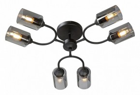 Потолочная люстра Vitaluce V2823 V2823-1/6PL в Карталах - kartaly.ok-mebel.com | фото 2
