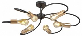 Потолочная люстра Vitaluce V3076 V3076-1/6PL в Карталах - kartaly.ok-mebel.com | фото 3