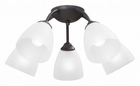 Потолочная люстра Vitaluce V3184 V3737-2/5PL в Карталах - kartaly.ok-mebel.com | фото