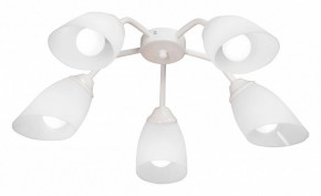 Потолочная люстра Vitaluce V31950 V31950/5PL в Карталах - kartaly.ok-mebel.com | фото