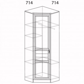 Шкаф угловой Лира №57 Дуб нортон темный в Карталах - kartaly.ok-mebel.com | фото 2