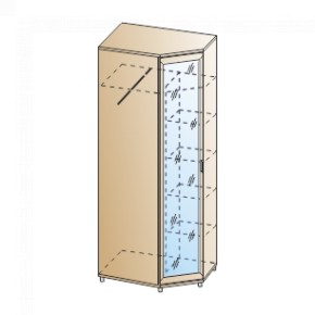 Прихожая Мелисса композиция 10 (Акация Молдау) в Карталах - kartaly.ok-mebel.com | фото 6