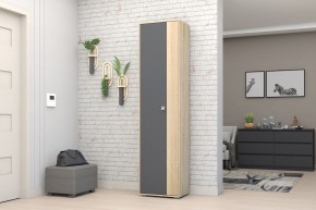 Прихожая Монако-2 (Дуб Сонома/Графит) в Карталах - kartaly.ok-mebel.com | фото 11