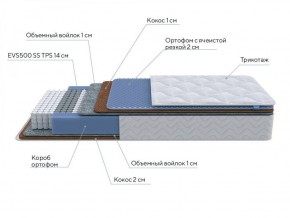 PROxSON Матрас Active Duo M/F (Ткань Трикотаж Эко) 120x190 в Карталах - kartaly.ok-mebel.com | фото 6