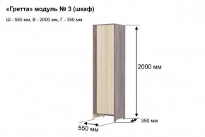 Шкаф 2-х створчатый "Гретта 3" в Карталах - kartaly.ok-mebel.com | фото 6