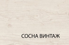 Шкаф 3DG2S, MAGELLAN, цвет Сосна винтаж в Карталах - kartaly.ok-mebel.com | фото 6