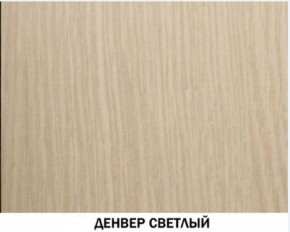 Шкаф для одежды №609 "Инна" Денвер светлый (*без полок) в Карталах - kartaly.ok-mebel.com | фото 4