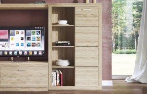 Шкаф комбинированный 1D OSKAR , цвет дуб Санремо в Карталах - kartaly.ok-mebel.com | фото 3