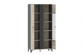 Шкаф комбинированный НМ 040.10 "Отис" в Карталах - kartaly.ok-mebel.com | фото 2