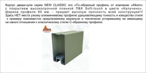 Шкаф-купе 1500 серии NEW CLASSIC K3+K3+B2+PL1 (2 ящика+1 штанга) профиль «Капучино» в Карталах - kartaly.ok-mebel.com | фото 5