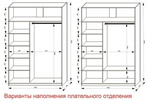 Шкаф-купе 1600 серии SOFT D6+D4+B2+PL2 (2 ящика+1штанга+1 полка) профиль «Капучино» в Карталах - kartaly.ok-mebel.com | фото 8