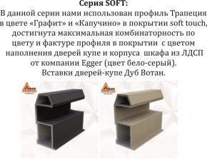 Шкаф-купе 1800 серии SOFT D1+D3+B2+PL1 (2 ящика+1штанга) профиль «Графит» в Карталах - kartaly.ok-mebel.com | фото 11