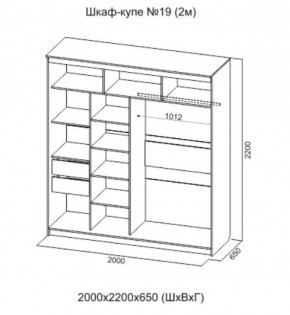 Шкаф-купе №19 Серия 3 Квадро (2000) Ясень Анкор светлый в Карталах - kartaly.ok-mebel.com | фото 4