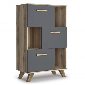 Шкаф низкий с нишами Вега Скандинавия в Карталах - kartaly.ok-mebel.com | фото 5