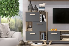Шкаф низкий с нишами Вега Скандинавия в Карталах - kartaly.ok-mebel.com | фото 6