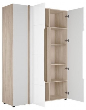 Шкаф платяной Данк в Карталах - kartaly.ok-mebel.com | фото 2