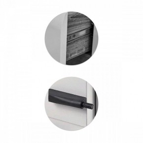 Шкаф платяной Элла в Карталах - kartaly.ok-mebel.com | фото 3
