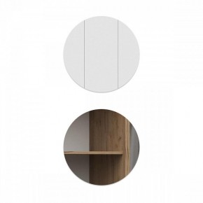 Шкаф платяной Элла в Карталах - kartaly.ok-mebel.com | фото 5