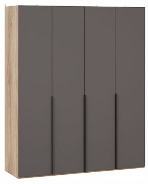 Шкаф платяной Порто СМ-393.07.110 в Карталах - kartaly.ok-mebel.com | фото