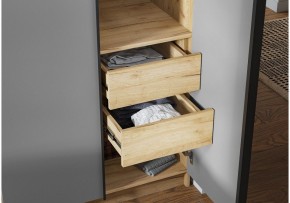 Шкаф платяной Широн в Карталах - kartaly.ok-mebel.com | фото 3