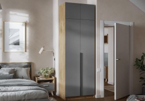 Шкаф платяной Широн в Карталах - kartaly.ok-mebel.com | фото 4