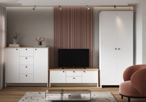 Шкаф платяной Теодора в Карталах - kartaly.ok-mebel.com | фото 4