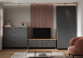 Шкаф платяной Теодора в Карталах - kartaly.ok-mebel.com | фото 3