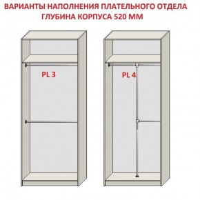 Шкаф распашной серия «ЗЕВС» (PL3/С1/PL2) в Карталах - kartaly.ok-mebel.com | фото 10