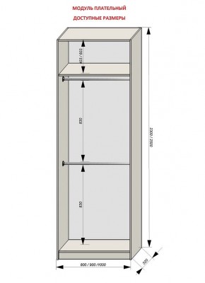 Шкаф распашной серия «ЗЕВС» (PL3/С1/PL2) в Карталах - kartaly.ok-mebel.com | фото 12