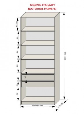 Шкаф распашной серия «ЗЕВС» (PL3/С1/PL2) в Карталах - kartaly.ok-mebel.com | фото 13