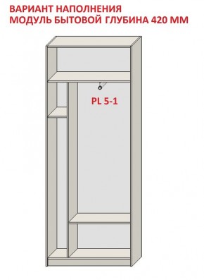 Шкаф распашной серия «ЗЕВС» (PL3/С1/PL2) в Карталах - kartaly.ok-mebel.com | фото 4