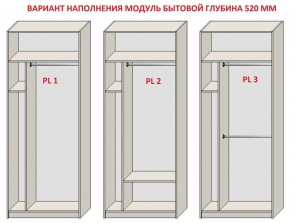 Шкаф распашной серия «ЗЕВС» (PL3/С1/PL2) Серый камень/Небраска натуральный в Карталах - kartaly.ok-mebel.com | фото 5