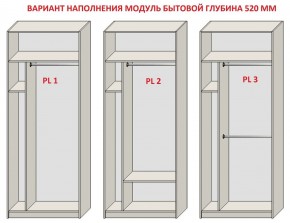 Шкаф распашной серия «ЗЕВС» (PL3/С1/PL2) в Карталах - kartaly.ok-mebel.com | фото 5