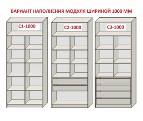 Шкаф распашной серия «ЗЕВС» (PL3/С1/PL2) Серый камень/Небраска натуральный в Карталах - kartaly.ok-mebel.com | фото 7