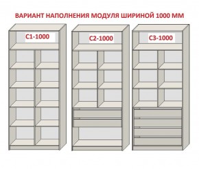 Шкаф распашной серия «ЗЕВС» (PL3/С1/PL2) в Карталах - kartaly.ok-mebel.com | фото 7