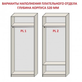 Шкаф распашной серия «ЗЕВС» (PL3/С1/PL2) в Карталах - kartaly.ok-mebel.com | фото 9