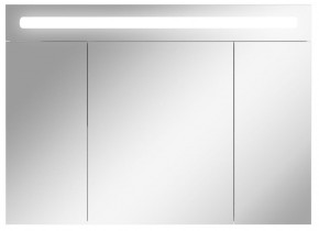 Шкаф-зеркало Аврора 100 с подсветкой LED Домино (DV8012HZ) в Карталах - kartaly.ok-mebel.com | фото