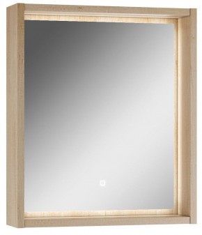 Шкаф-зеркало Nice 60 с подсветкой Домино (DN4706HZ) в Карталах - kartaly.ok-mebel.com | фото 1