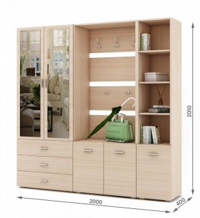 Стенка для прихожей Мартин-3 в Карталах - kartaly.ok-mebel.com | фото 2