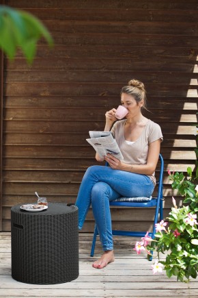 Столик-холодильник Кул-Стул (Cool stool) графит в Карталах - kartaly.ok-mebel.com | фото