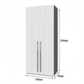 СТОУН С22 Шкаф 2-х створчатый (серый дуб/белый) в Карталах - kartaly.ok-mebel.com | фото 2