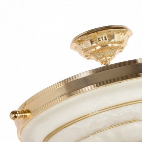 Светильник на штанге Arti Lampadari Pavia Pavia E 1.13.P40 G в Карталах - kartaly.ok-mebel.com | фото 4