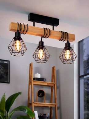 Светильник на штанге Eglo ПРОМО TOWNSHEND 5 44074 в Карталах - kartaly.ok-mebel.com | фото 3