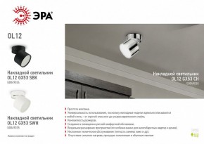 Светильник на штанге Эра OL12 GX53 SWH Б0049035 в Карталах - kartaly.ok-mebel.com | фото 5