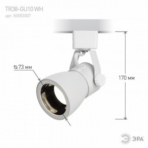 Светильник на штанге Эра  TR38-GU10 WH в Карталах - kartaly.ok-mebel.com | фото 6