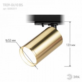 Светильник на штанге Эра  TR39-GU10 BS в Карталах - kartaly.ok-mebel.com | фото 6